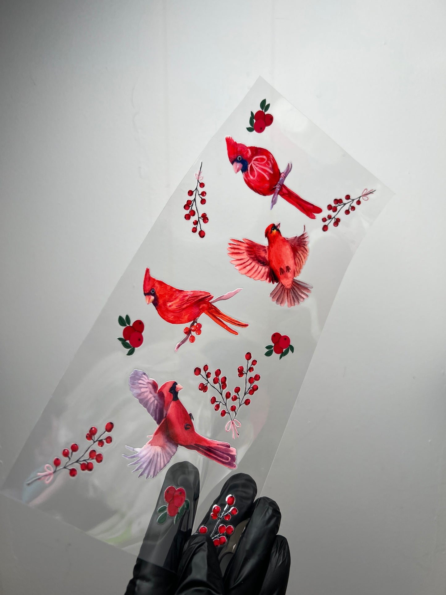 (W53) Cardinal