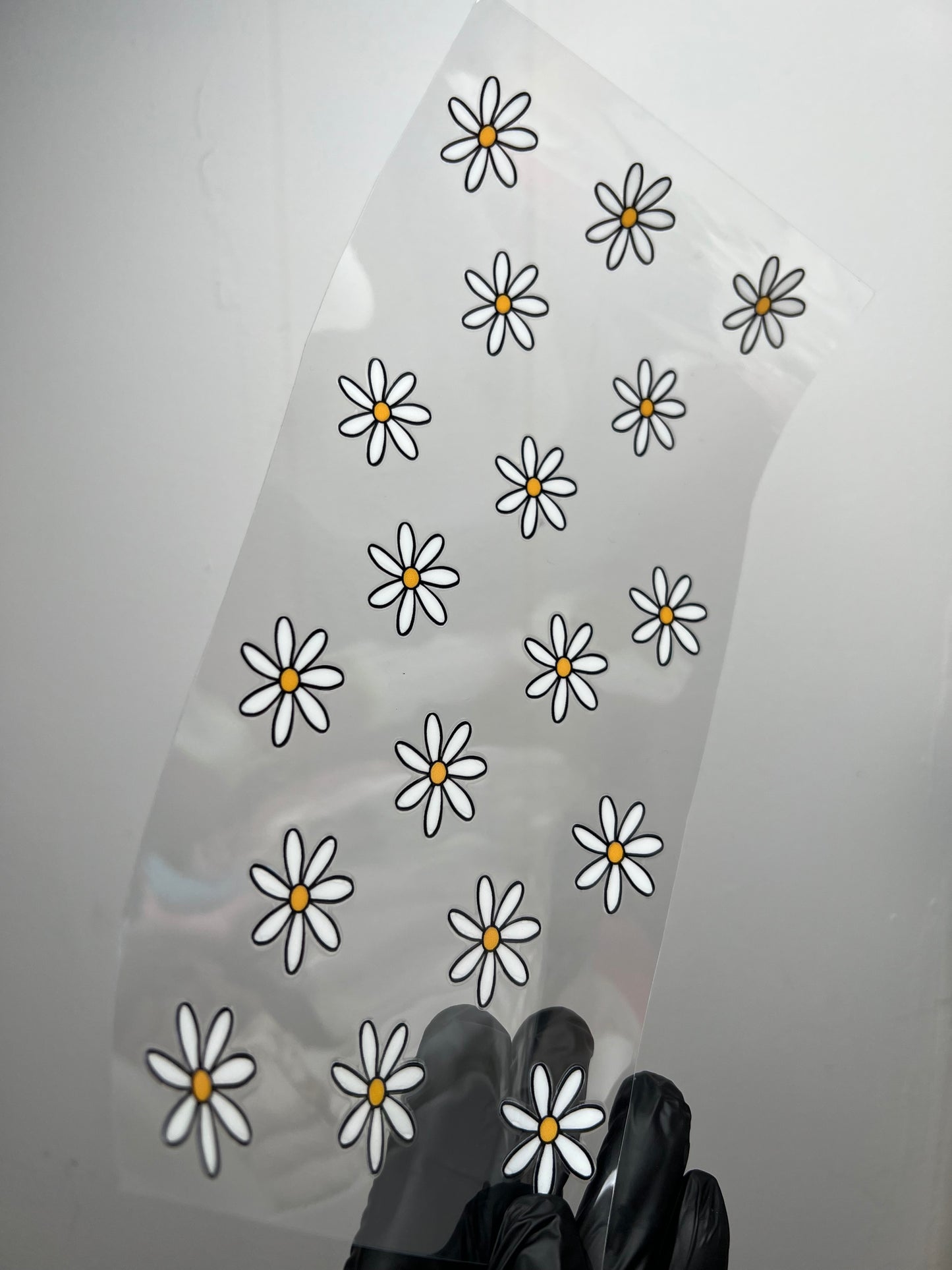 (W42) Daisy