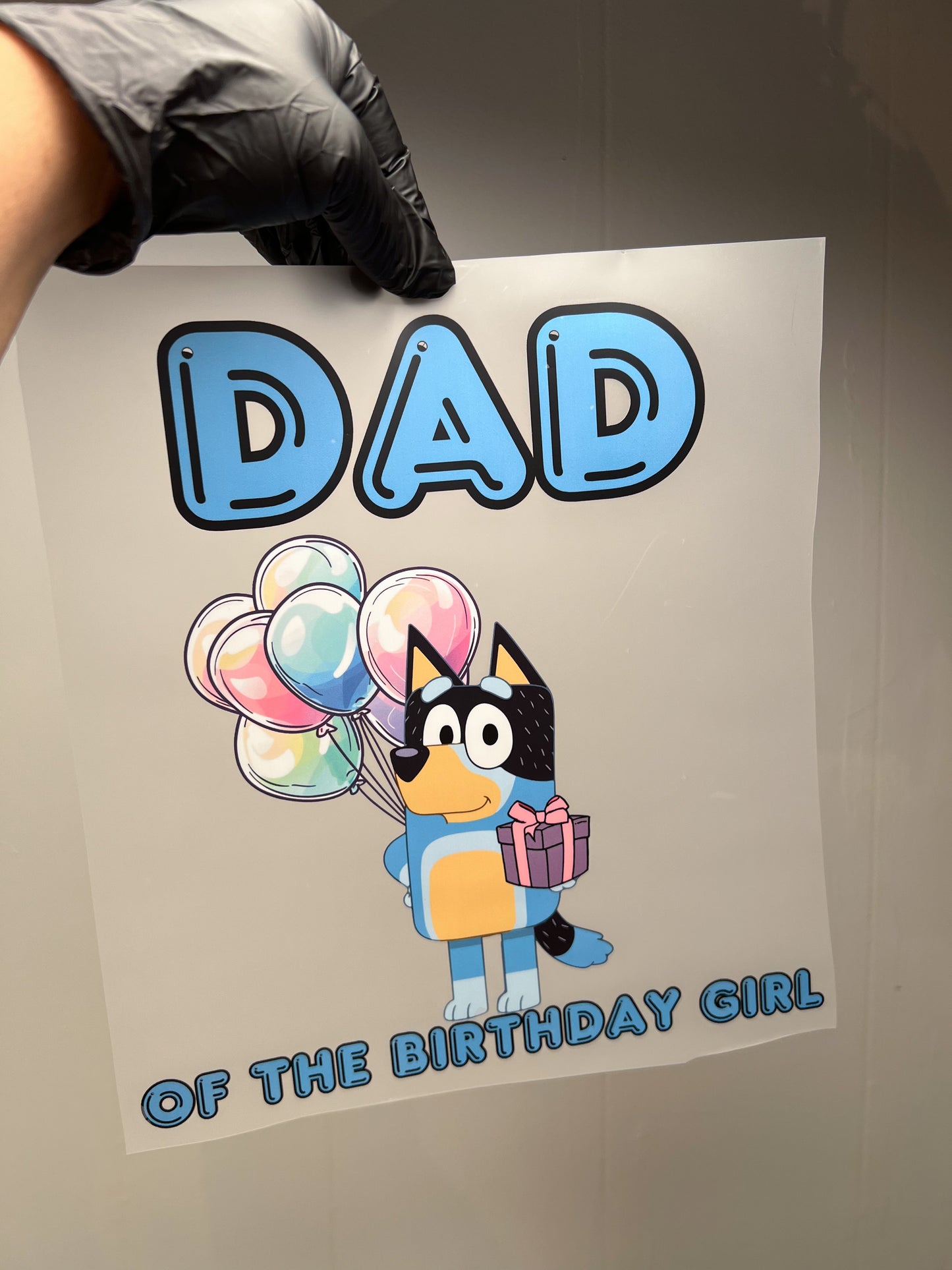 Bluey inspired 1st bday package
