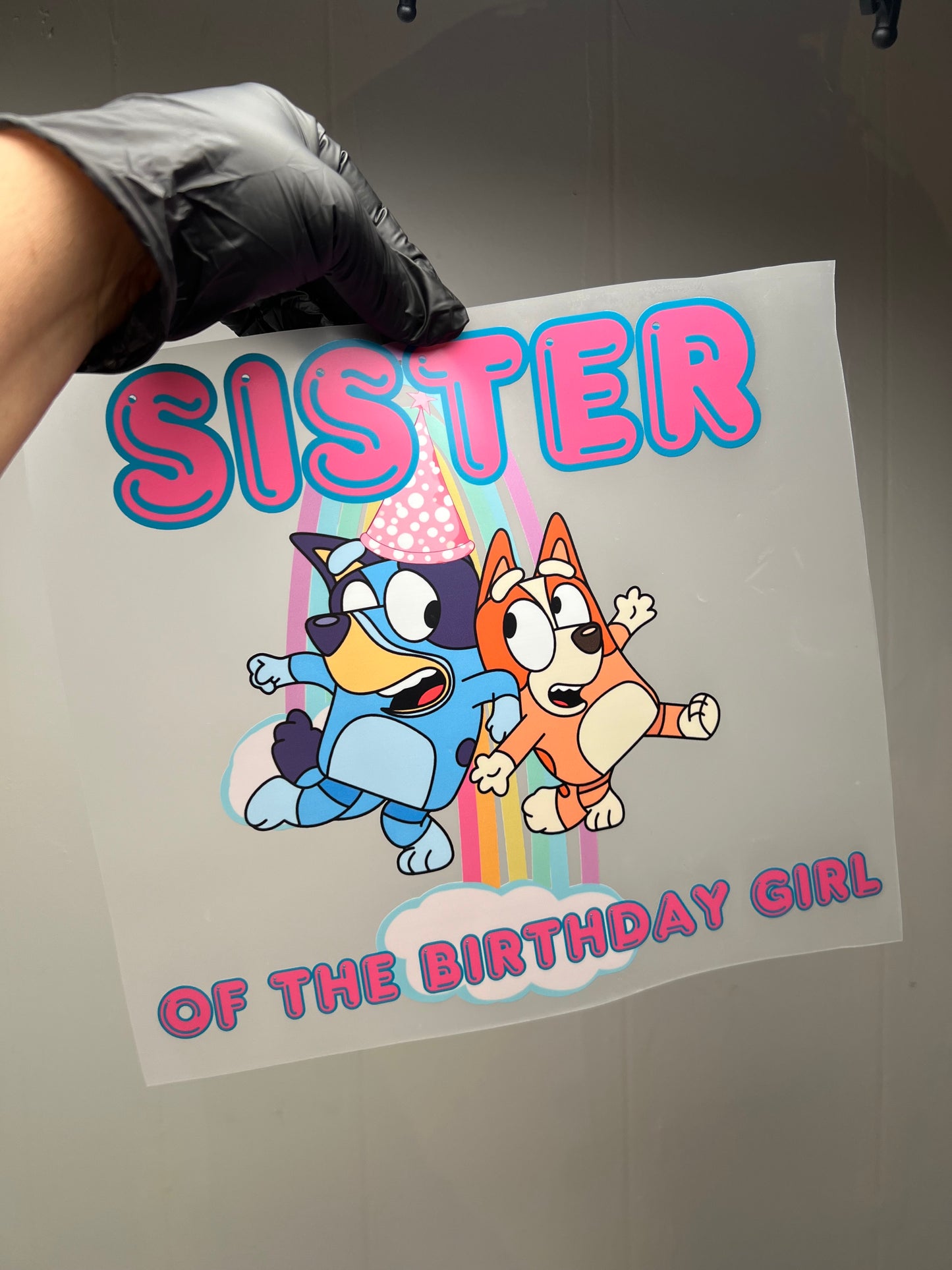 Bluey inspired 1st bday package