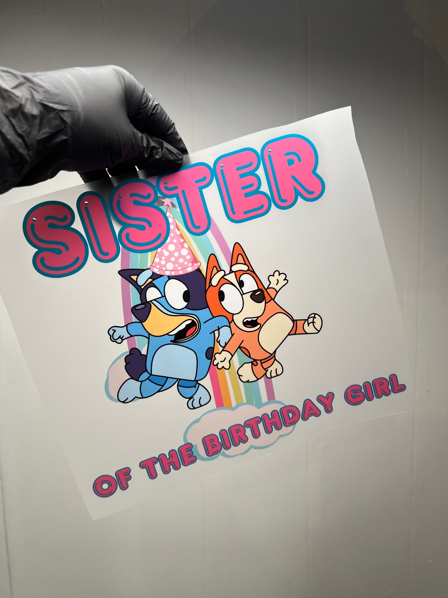 Bluey inspired 1st bday package