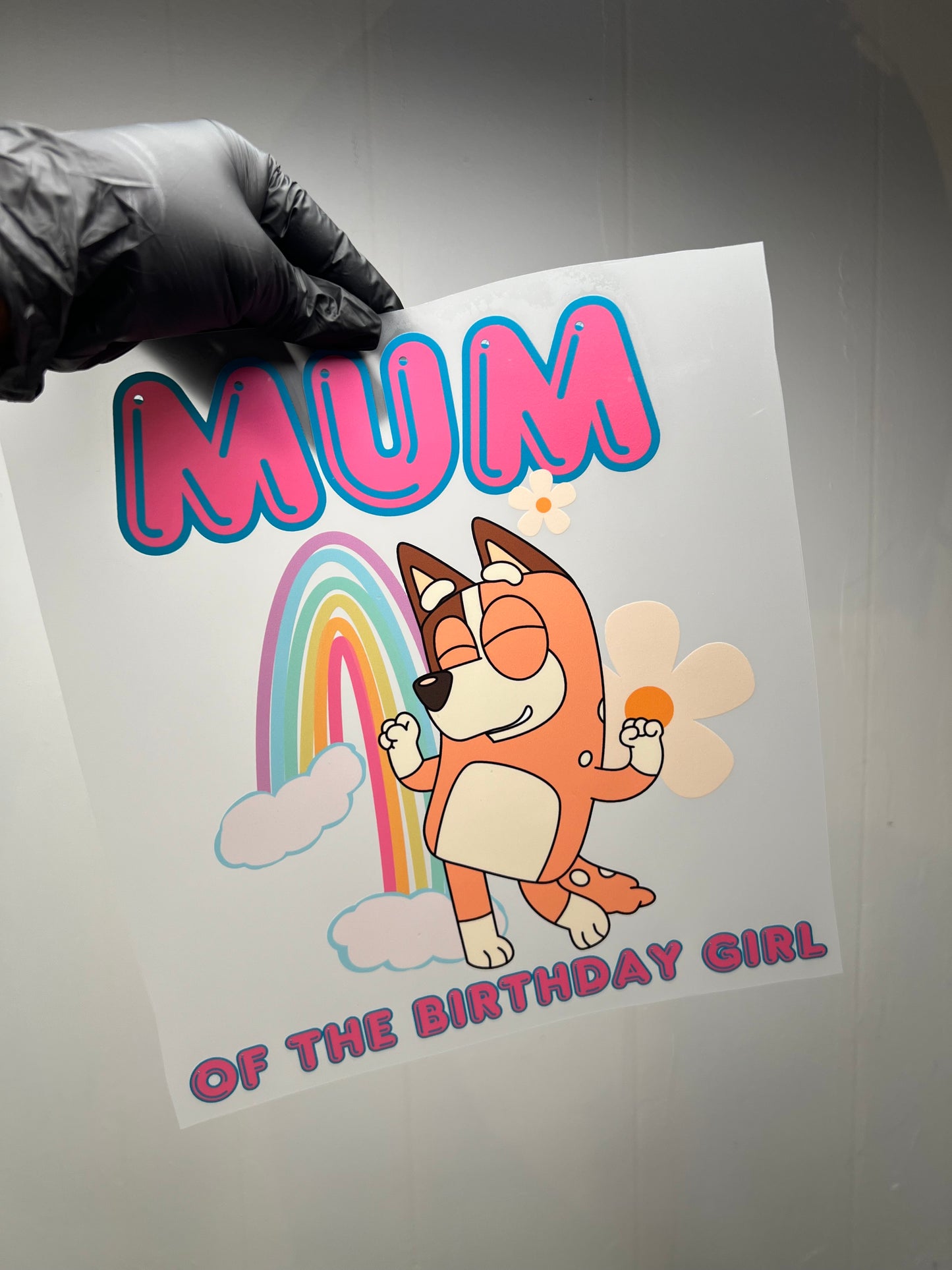 Bluey inspired 1st bday package