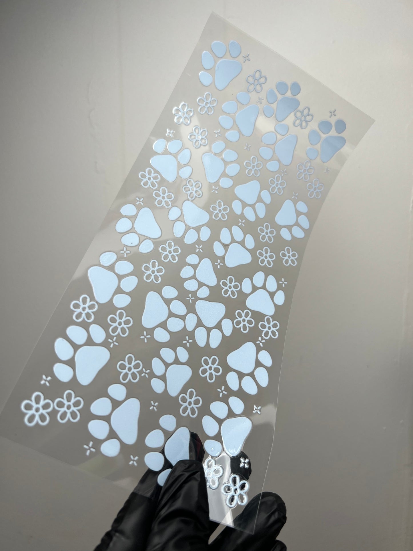 (W68) Paws