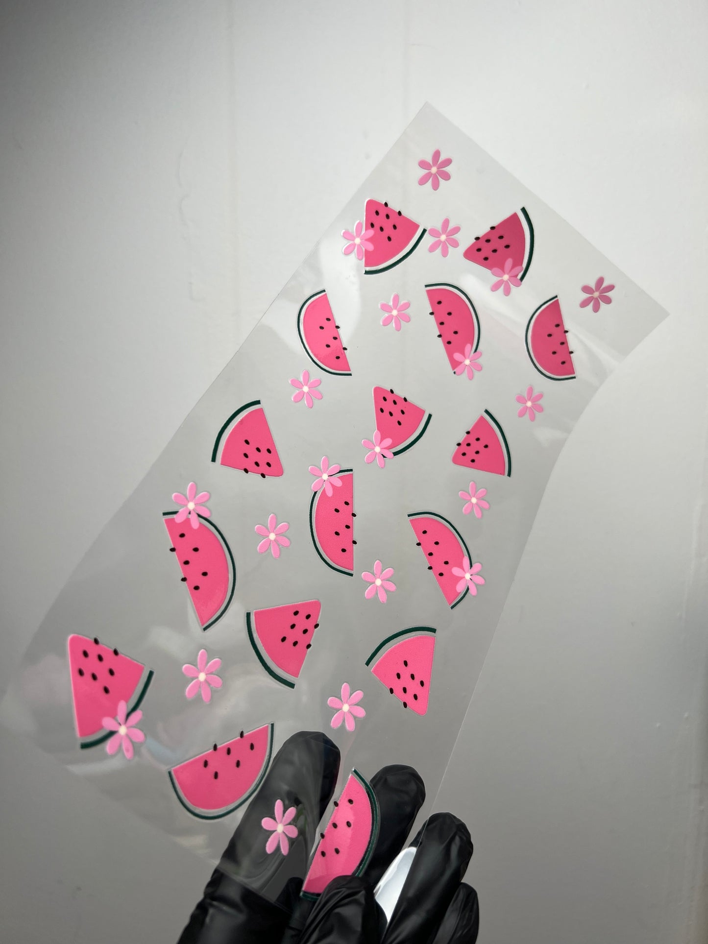 (W2)Watermelon daisy