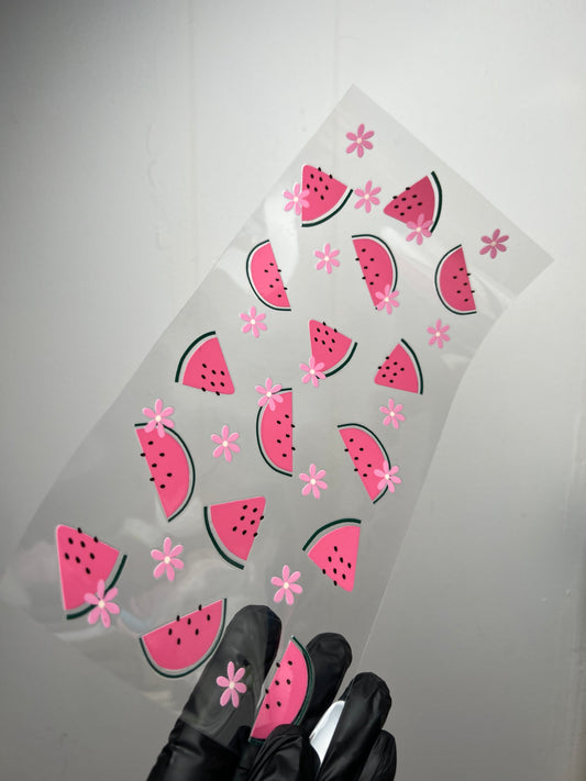 (W2)Watermelon daisy