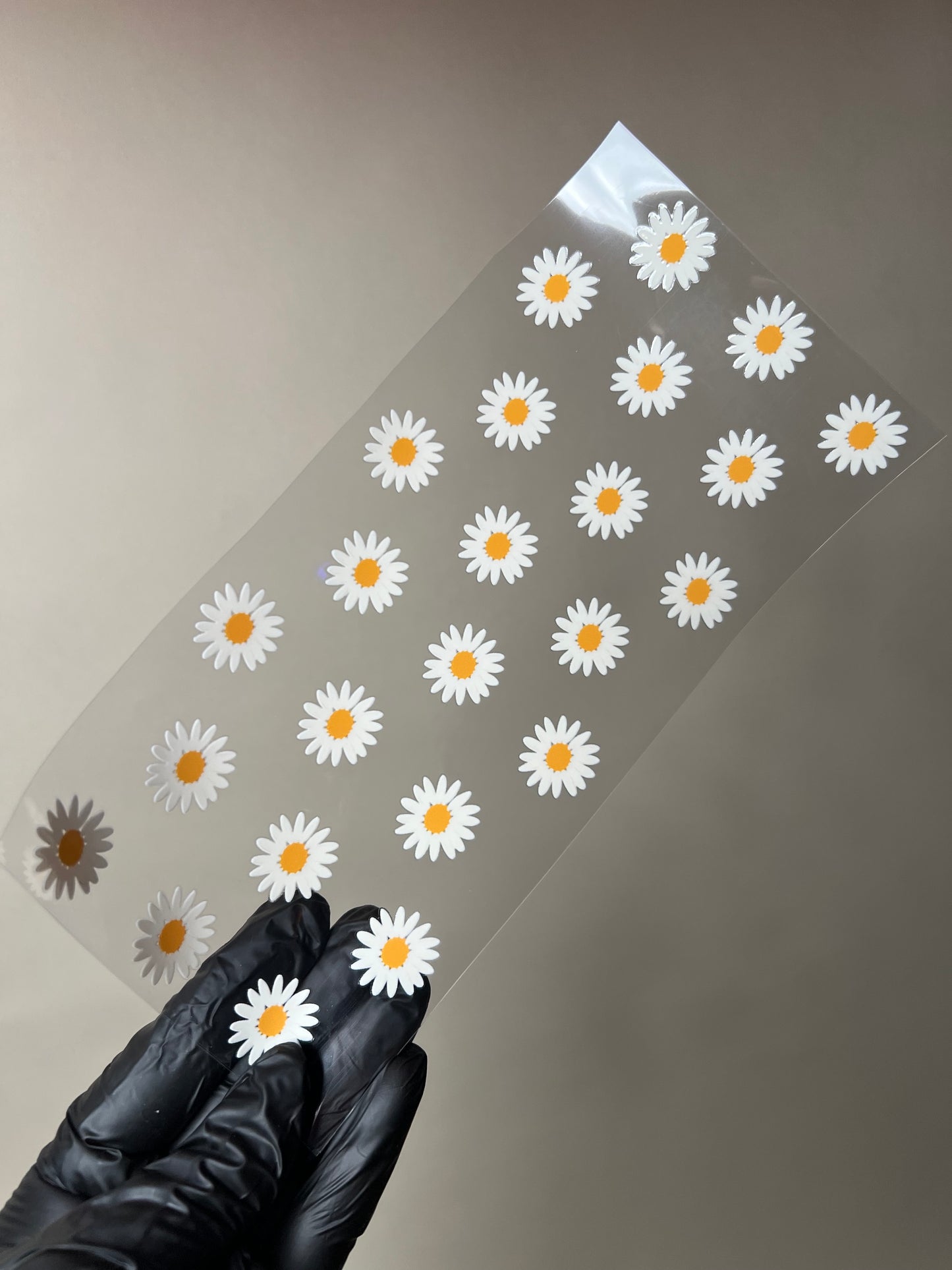 (W91) Daisies