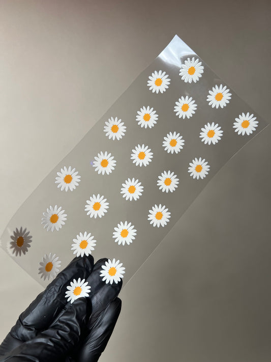 (W91) Daisies